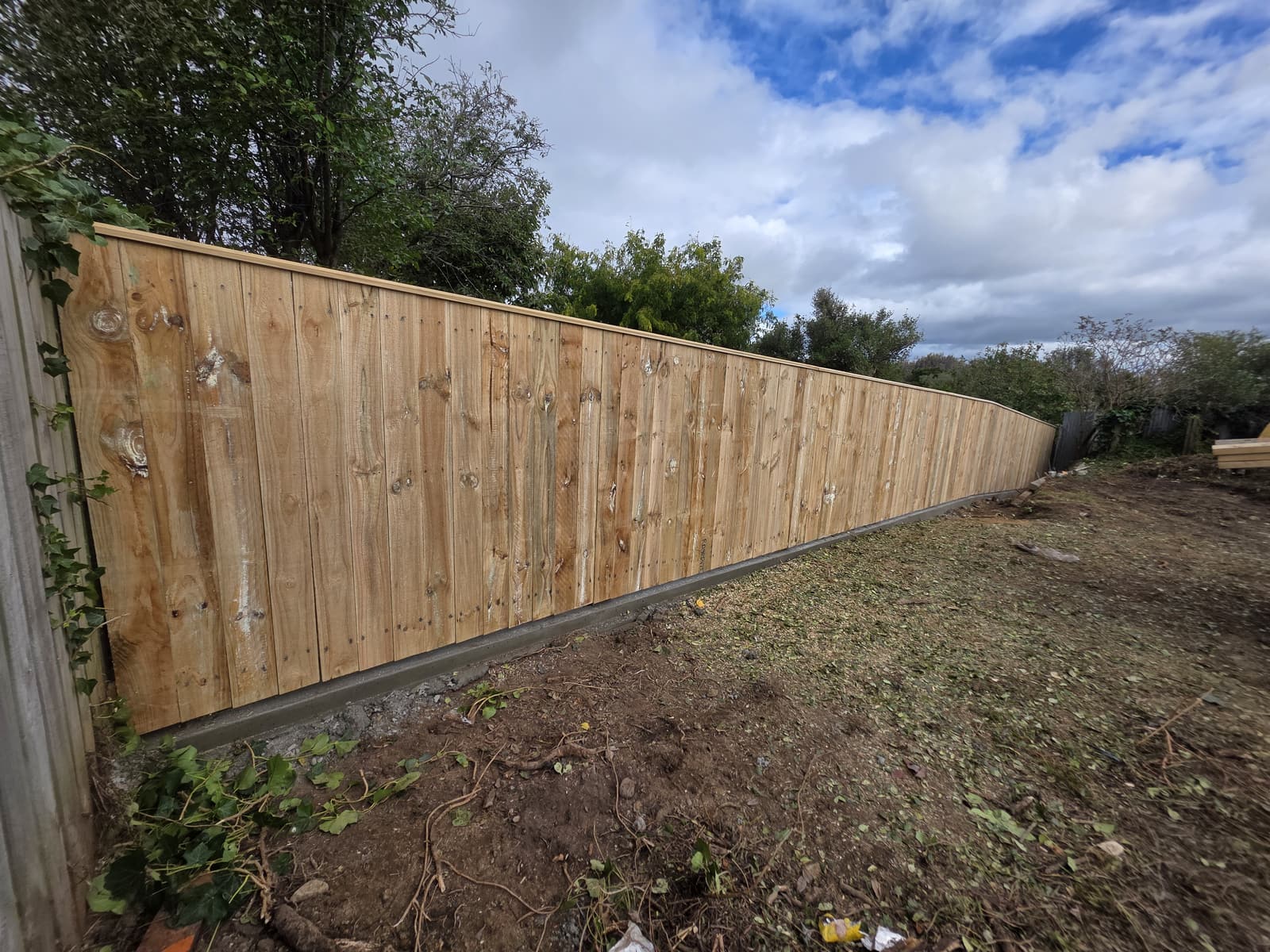 Residential Privacy Fence